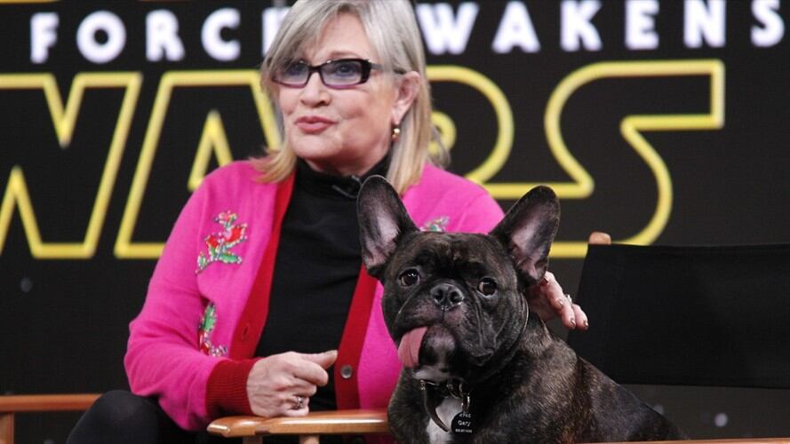Salen a subasta los guiones de 'Star Wars' corregidos por Carrie Fisher. Foto: Getty Images