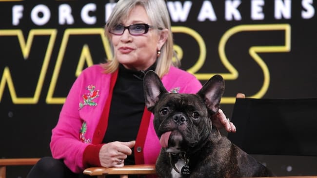 Salen a subasta los guiones de 'Star Wars' corregidos por Carrie Fisher. Foto: Getty Images