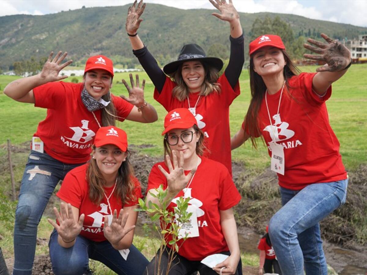 Bavaria junto a Minambiente, Ejército y ProColombia sembrarán 60 mil árboles