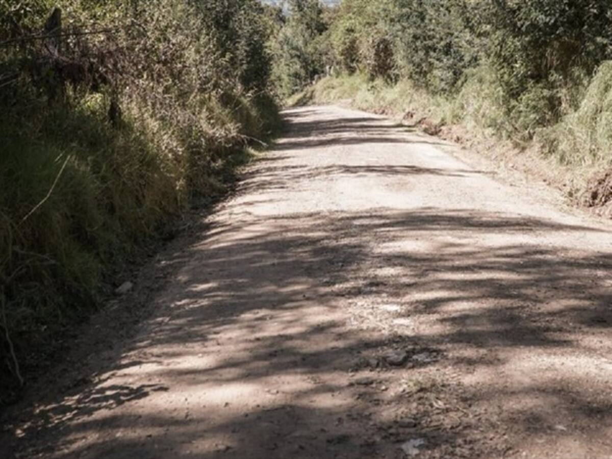 Prevenir los incendios forestares es prioridad en Zipaquirá, Cundinamarca