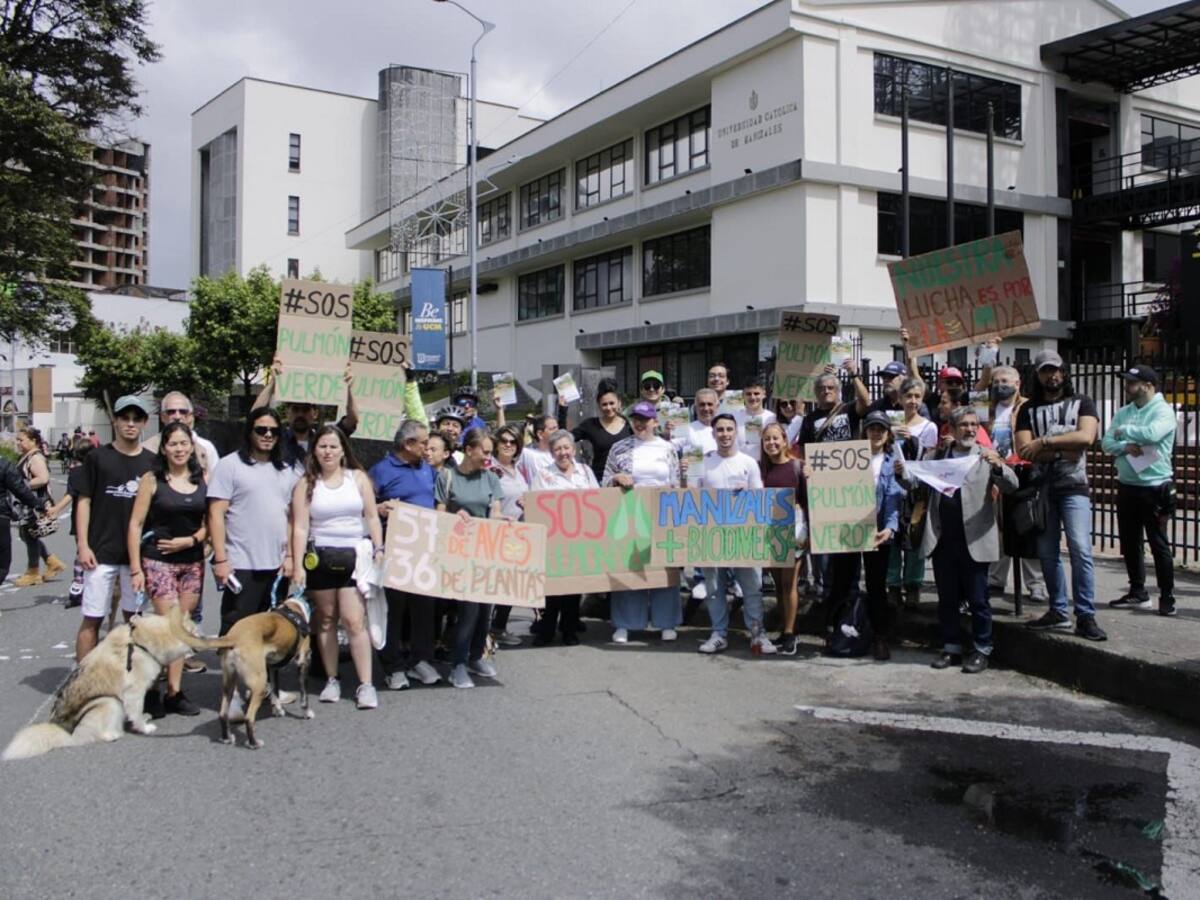 Indignación en Manizales por deforestación en la Reserva Camino de la Palma Real