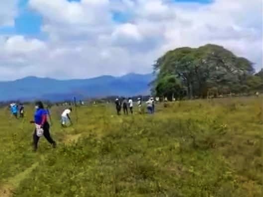 Los hechos se registraron en la hacienda La Victoria ubicada en límites entre los municipios de Caloto y Guachené: Crédito:  Movimiento de los Sin Tierra, nietos de Manuel Quintín Lame.