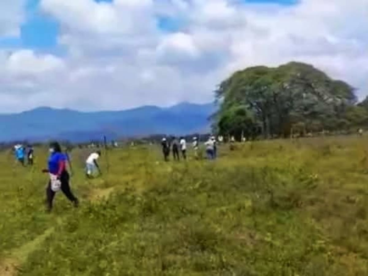 Enfrentamientos étnicos por tierras dejan once heridos en el norte del Cauca