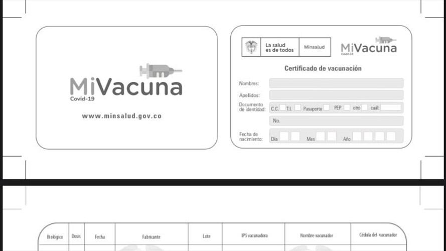 Carné para registrar la vacuna contra el COVID-19. Foto: Twitter Ministerio de Salud