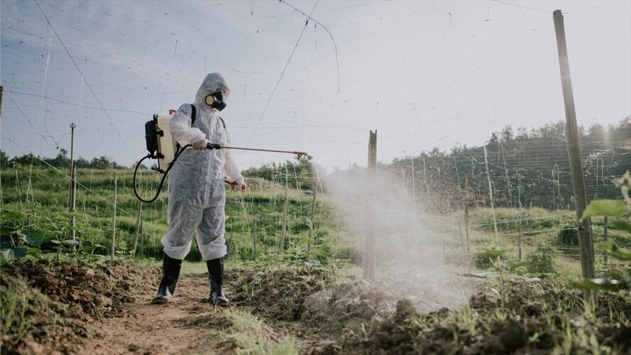 En Sigue La W habló Christine Sheppard, una británica que vive en Estados Unidos y se declara víctima del glifosato. Foto: Getty Images