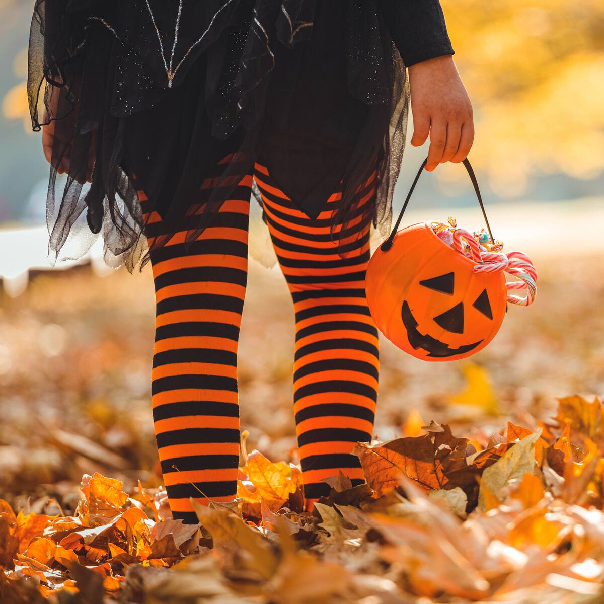 ¿Disfraces inseguros? SIC investiga a Dollarcity, Éxito y Falabella por esos hechos