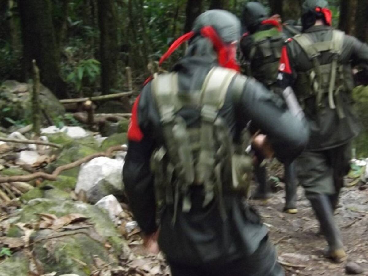 Combates entre disidencias de Farc y Eln generan desplazamientos en Cauca