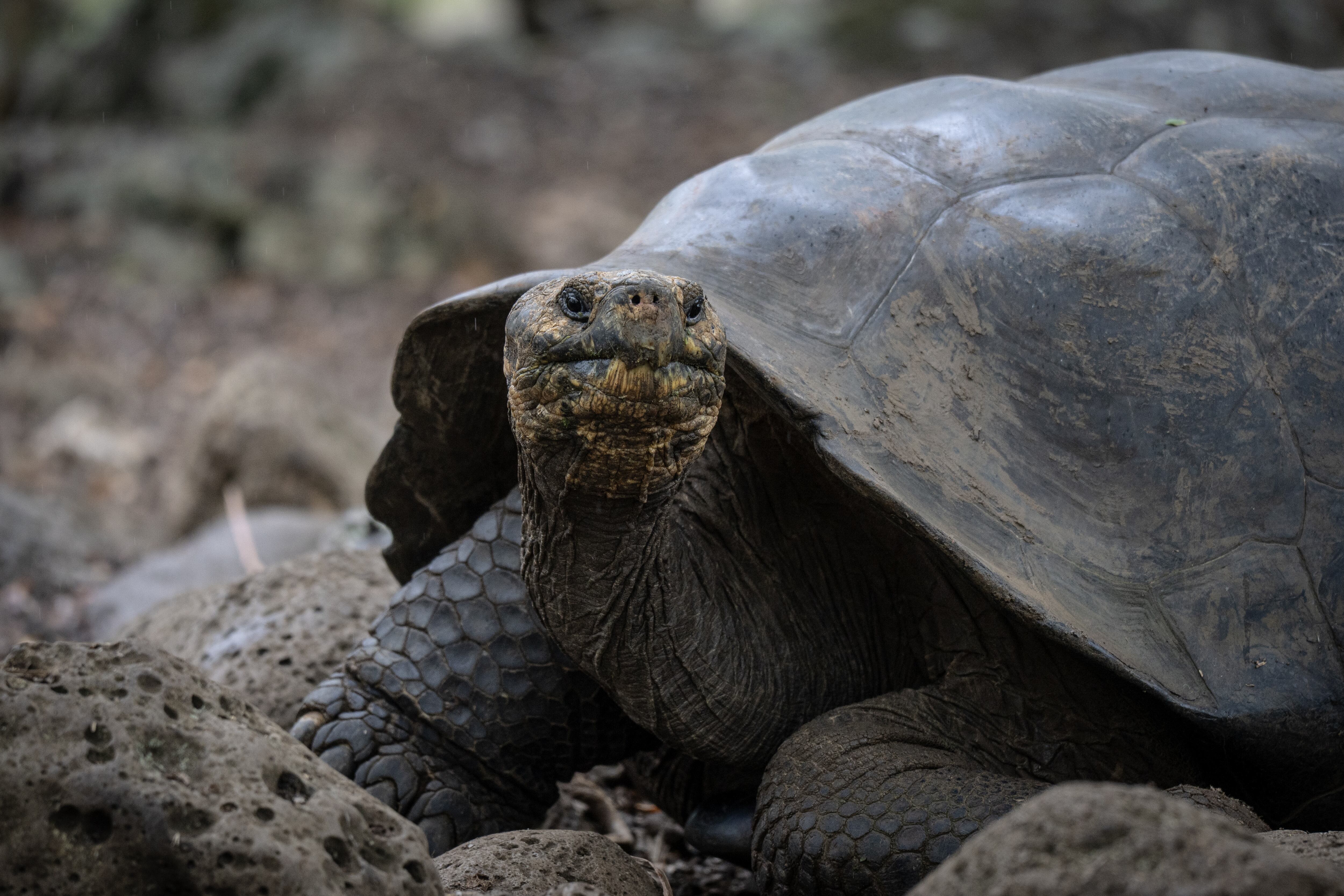Imagen de referencia. Foto: Ozge Elif Kizil/Anadolu via Getty Images.