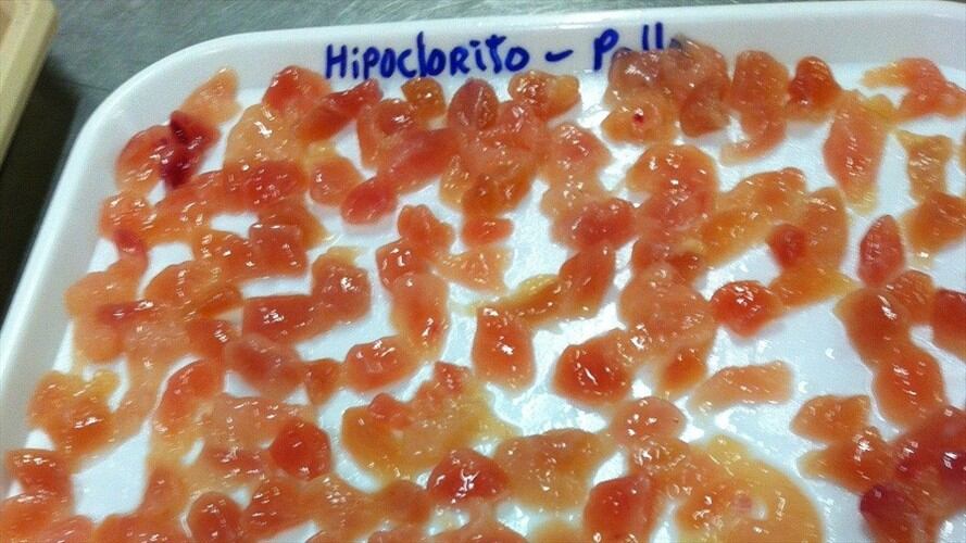 Inventan dulces a base de pescado, cerdo, pollo y res en el Magdalena. Foto: Cortesía