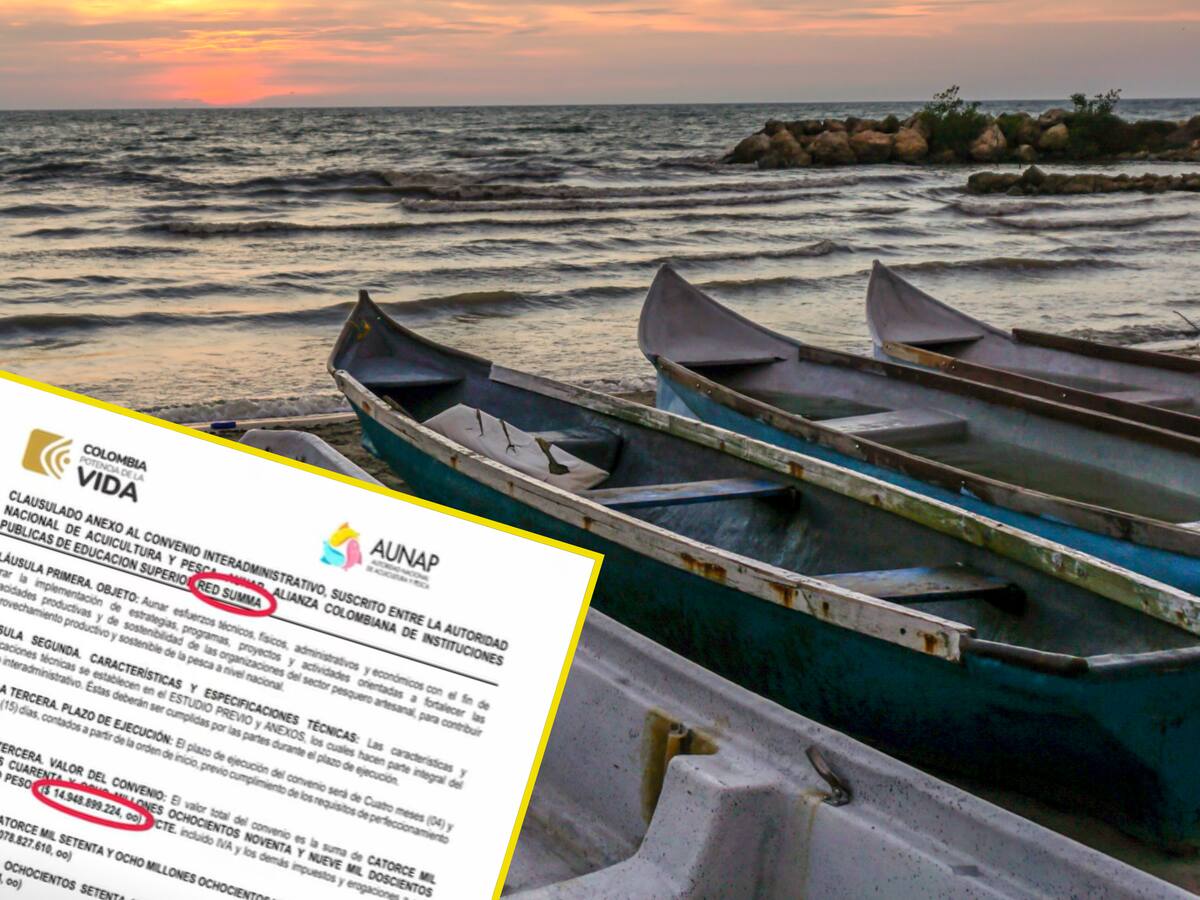 Botes fantasma: 283 embarcaciones por 15 mil millones de pesos que nunca se entregaron