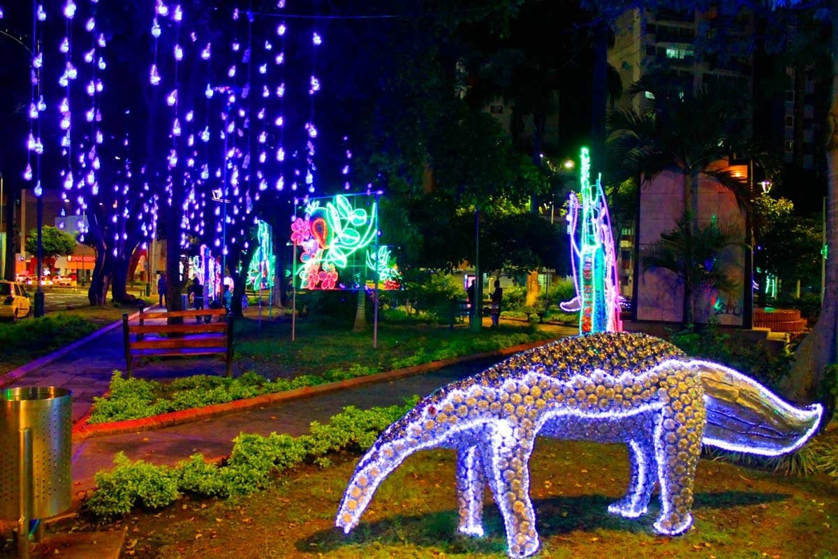 Denuncian irregularidades en contrato de alumbrado navideño en Bucaramanga: son $7.000 millones