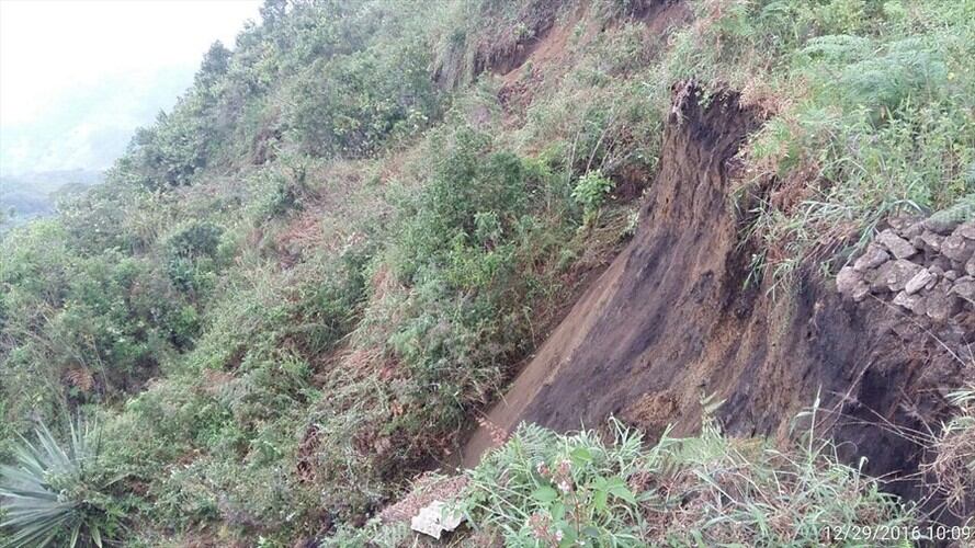 Imagen de referencia. Foto: Colprensa