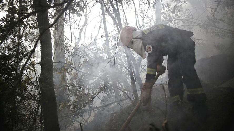 Fue liquidado el incendio forestal que desde el lunes consumía la cobertura vegetal del sector conocido como La Lola. Foto: Colprensa