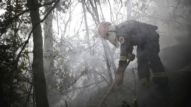 Fue liquidado el incendio forestal que desde el lunes consumía la cobertura vegetal del sector conocido como La Lola. Foto: Colprensa