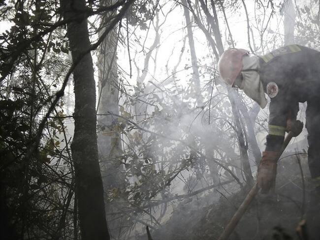 Fue liquidado el incendio forestal que desde el lunes consumía la cobertura vegetal del sector conocido como La Lola. Foto: Colprensa