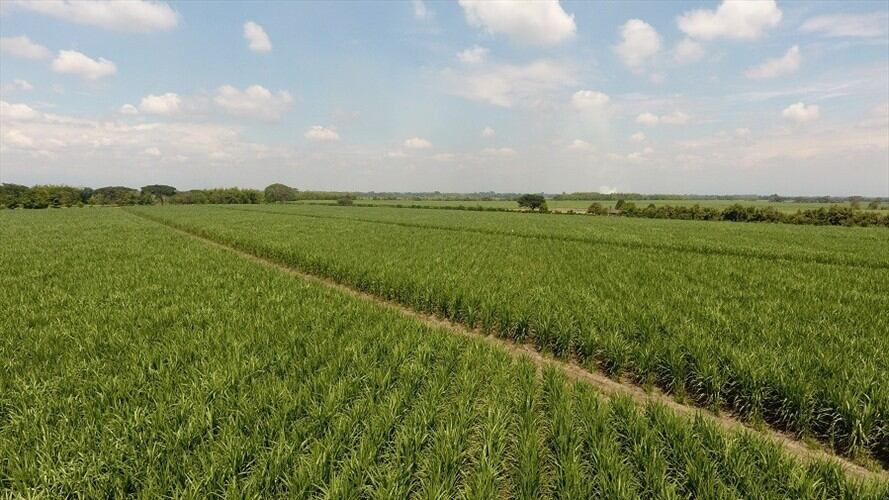 Imagen de referencia. Foto: Colprensa.