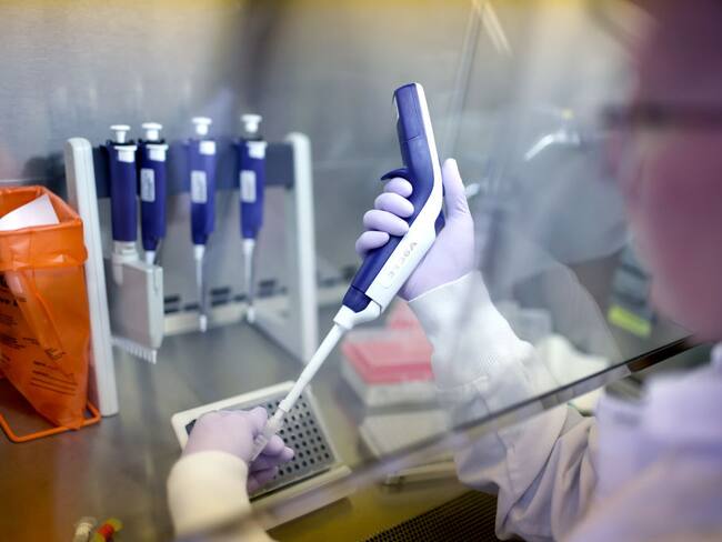 Gripe aviar (Photo by Scott Olson/Getty Images)