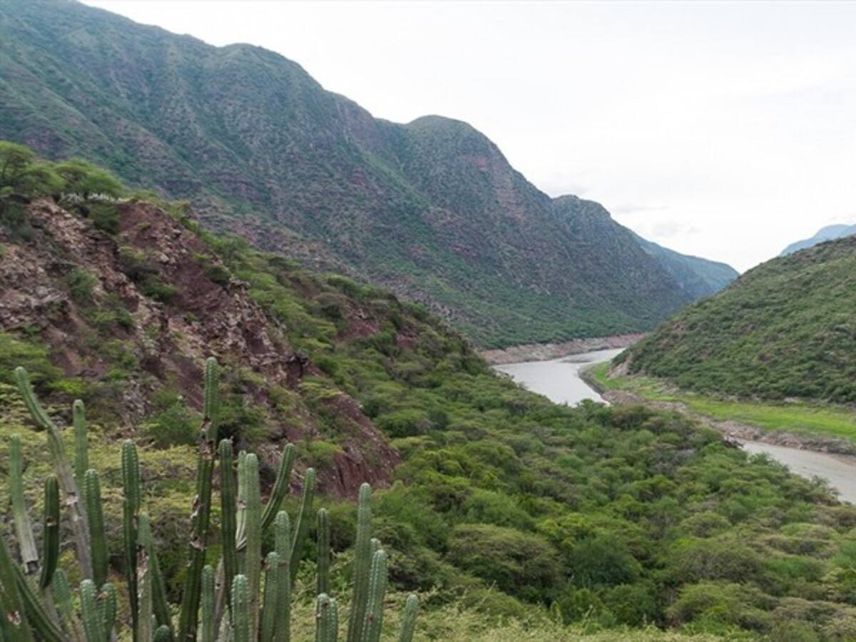 “Un país sin quemas” por la protección de nuestro territorio