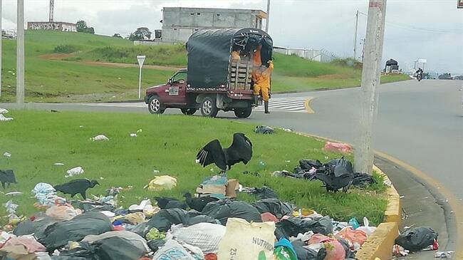 La Procuraduría pidió a Serviaseo un informe detallado de las actuaciones realizadas en cumplimiento del Plan de Emergencia y Contingencia. Foto: Carlos Cerón