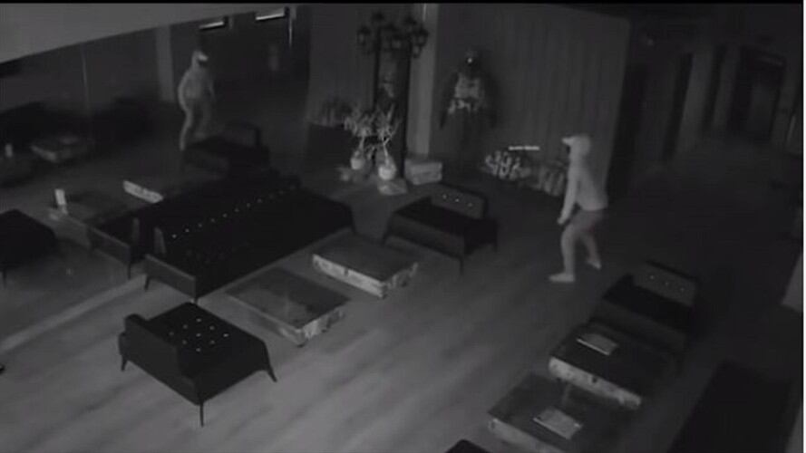 Ladrón quiso hacer de las suyas en un campo de tiro, pero se asustó con su propio reflejo. Foto: Captura de pantalla