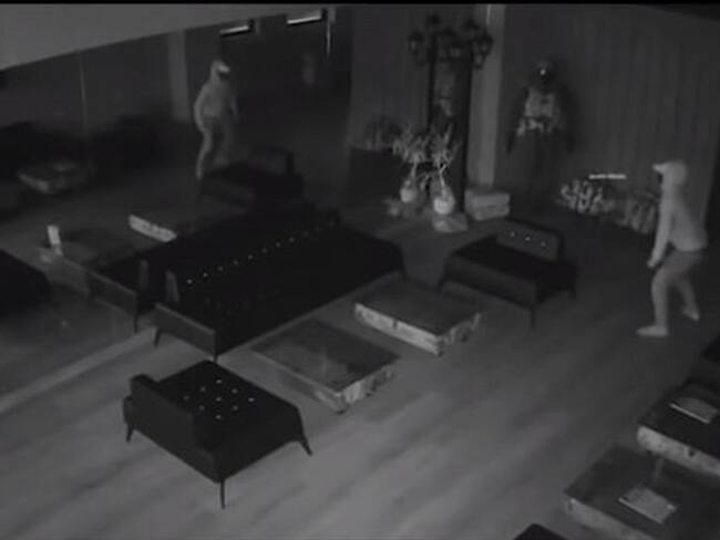 Ladrón quiso hacer de las suyas en un campo de tiro, pero se asustó con su propio reflejo. Foto: Captura de pantalla