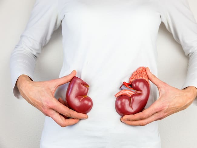 Imagen de referencia de donación de órganos. Foto: Getty Images