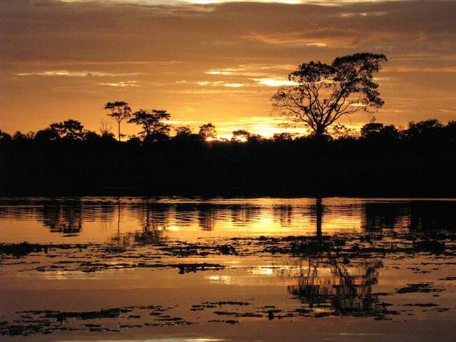 Grandes cantidades de Mercurio estarían afectando el río Amazonas