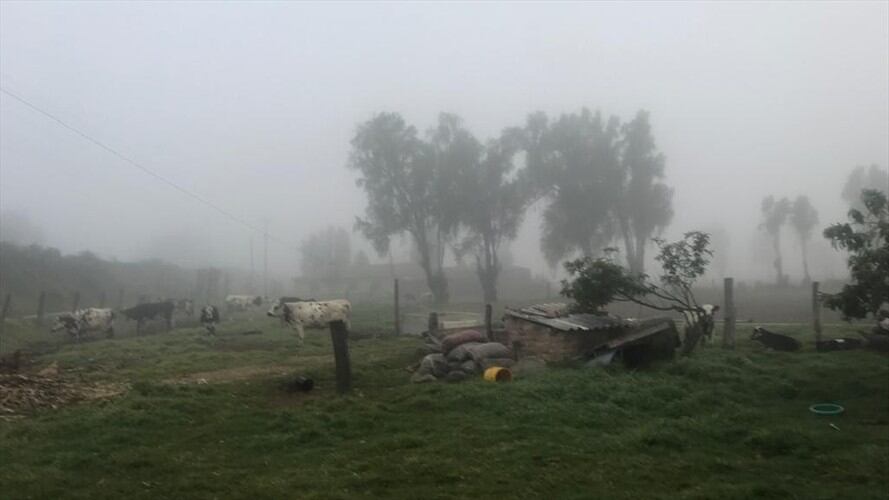 En Motavitá, Boyacá ya son 200 familias por el fenómeno natural.. Foto: La W