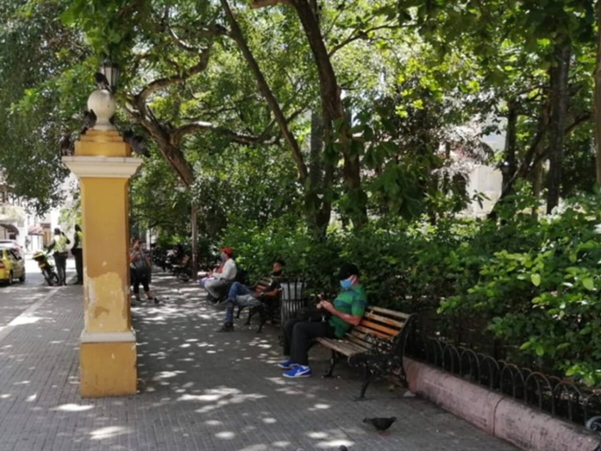 Pliego de cargos al asesor jurídico del Instituto de Patrimonio y Cultura de Cartagena