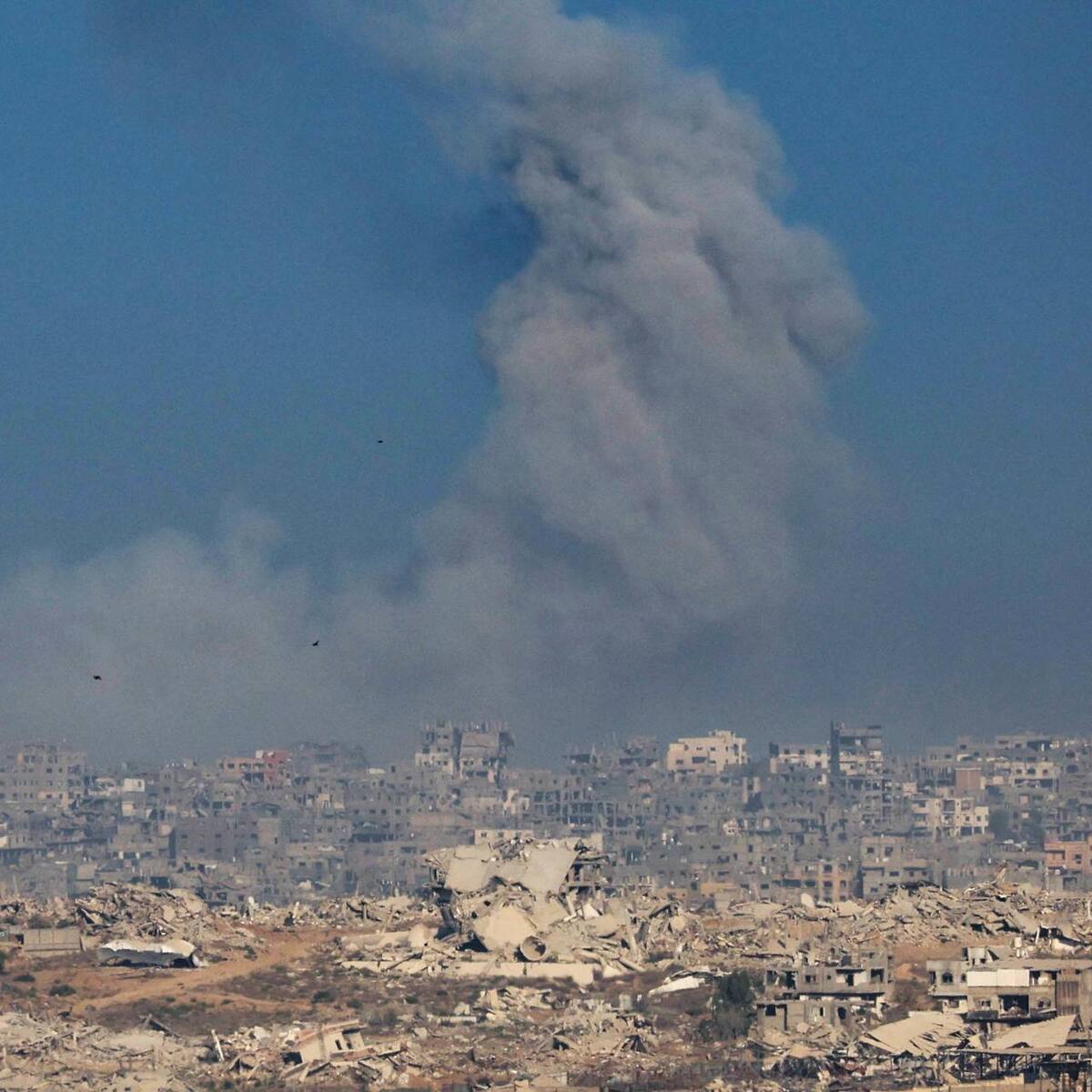 “Palestinos e israelíes no lo permitirán”: director de orquesta israelí sobre plan para dividir Gaza