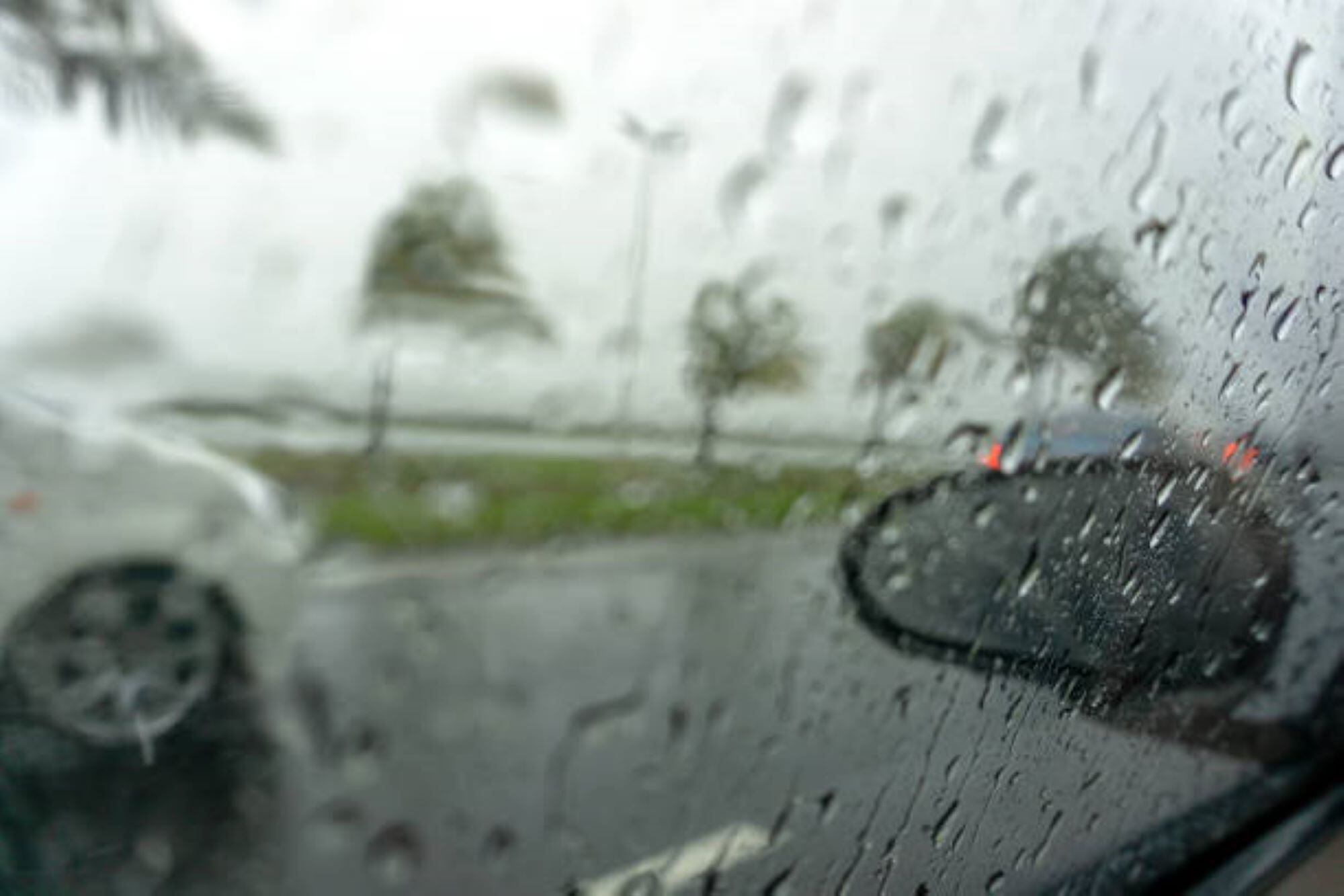 Imagen de referencia/ Getty Images