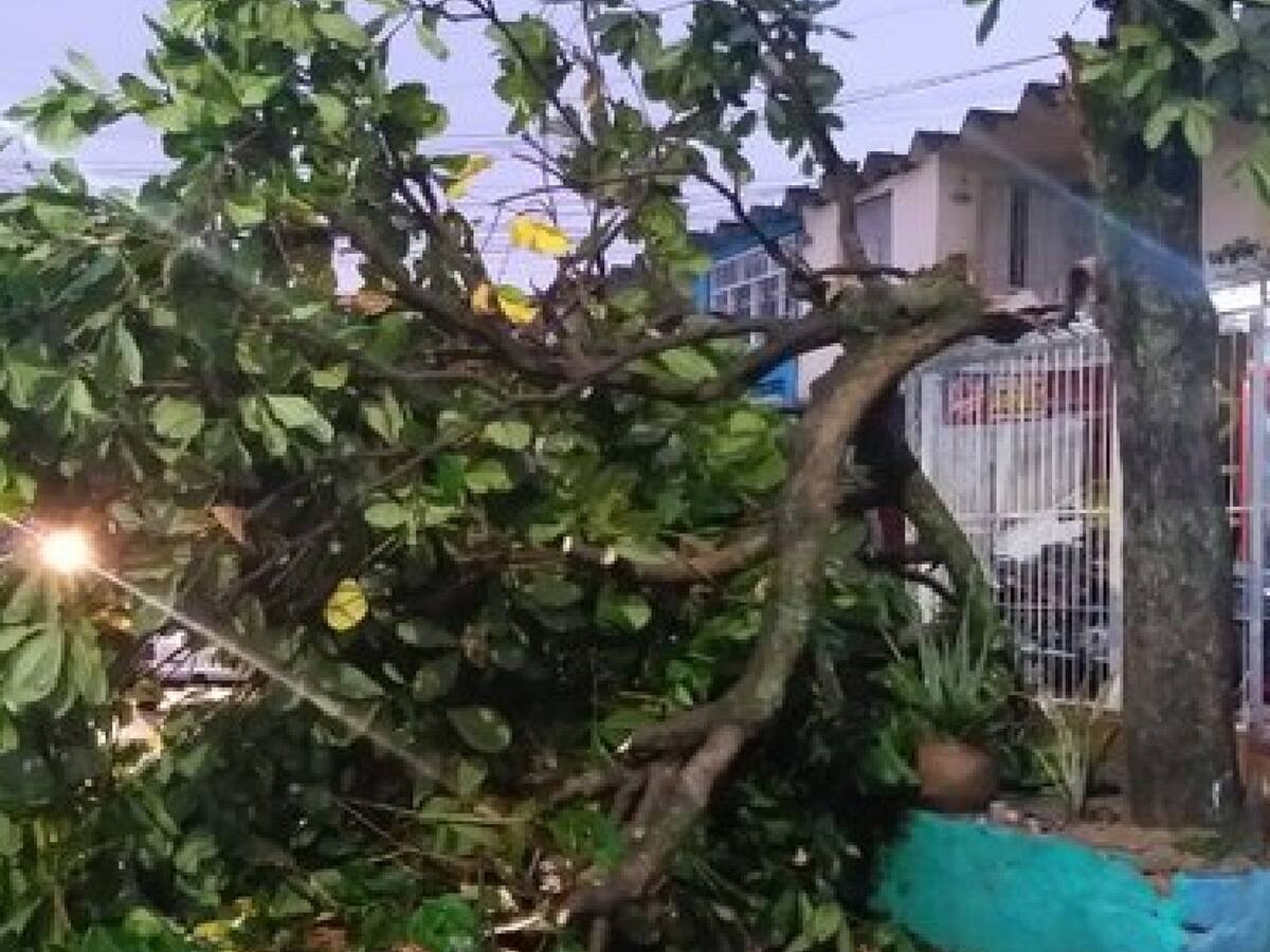 Lluvias torrenciales dejaron 24 viviendas inundadas en Lebrija