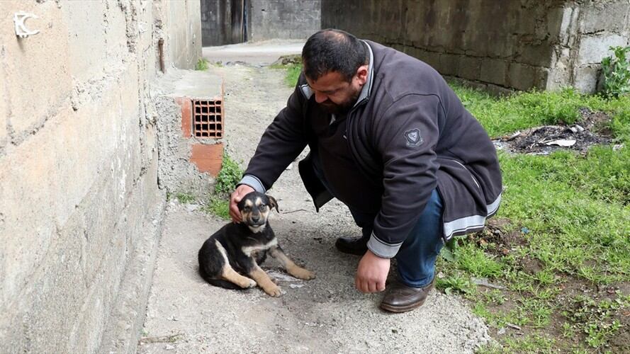 ¡Heroico! Salvó la vida de un cachorro después de practicarle respiración artificial. Foto: Agencia Anadolu