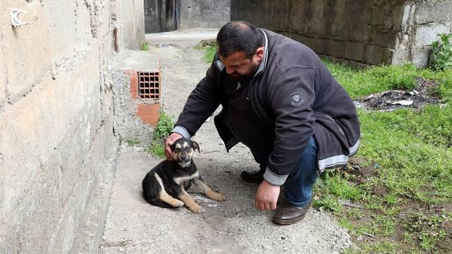 ¡Heroico! Salvó la vida de un cachorro después de practicarle respiración artificial. Foto: Agencia Anadolu