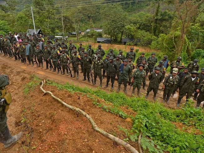 ¿Quién “tumbó” a los narcos que querían hacerse pasar por guerrilleros de las Farc?. Foto: Getty Images