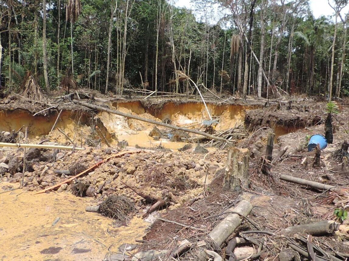 Capturados por daños ambientales en Pereira / Foto: Colprensa