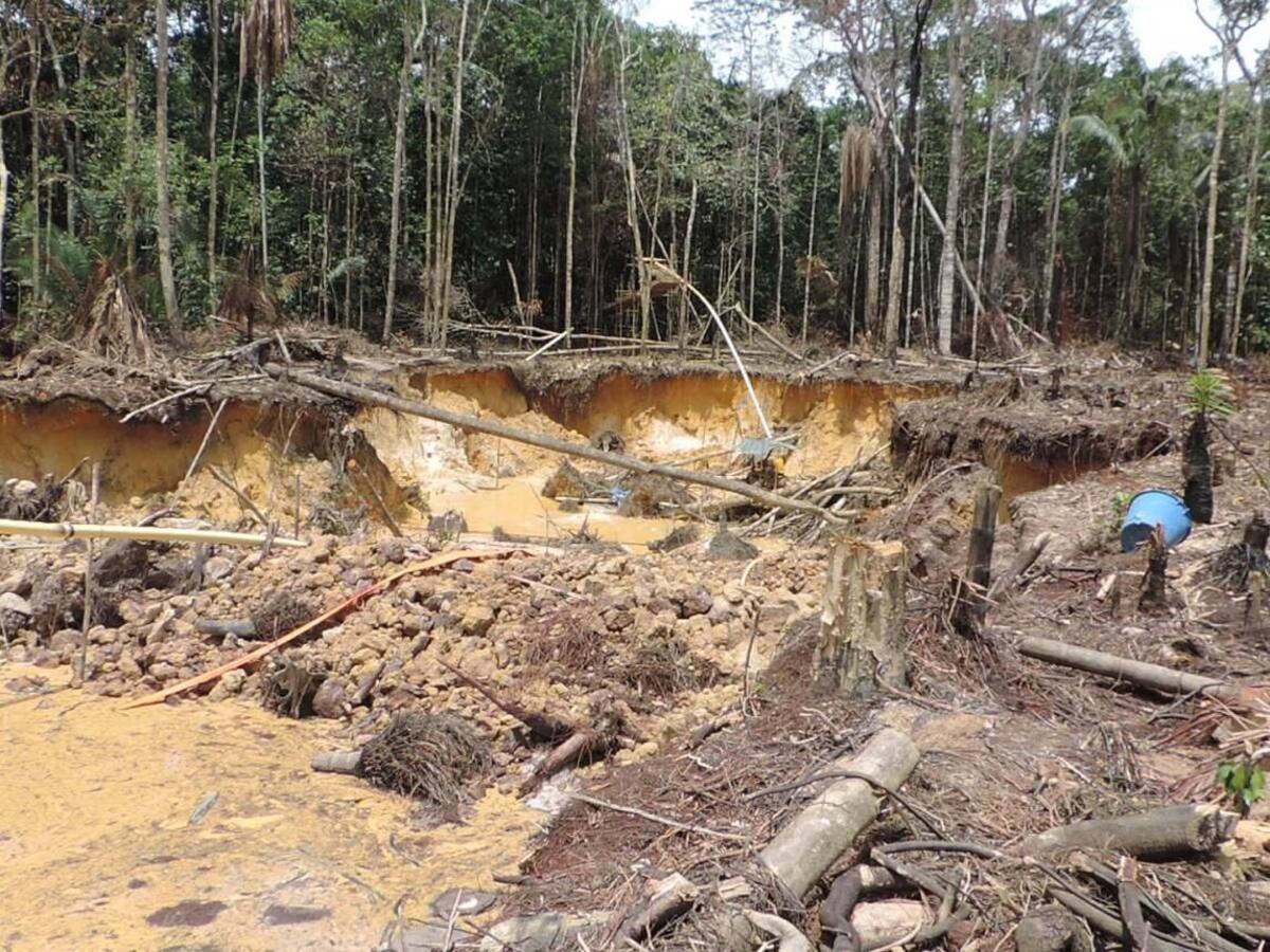 Capturan nueve personas en Pereira por daño a los recursos naturales