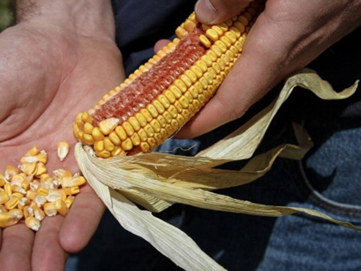 Fenalce pide al gobierno mejorar decretos que combaten el contrabando