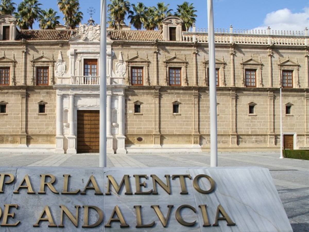 Temerosa intrusa: Rata llega hasta parlamento en España y causa terror