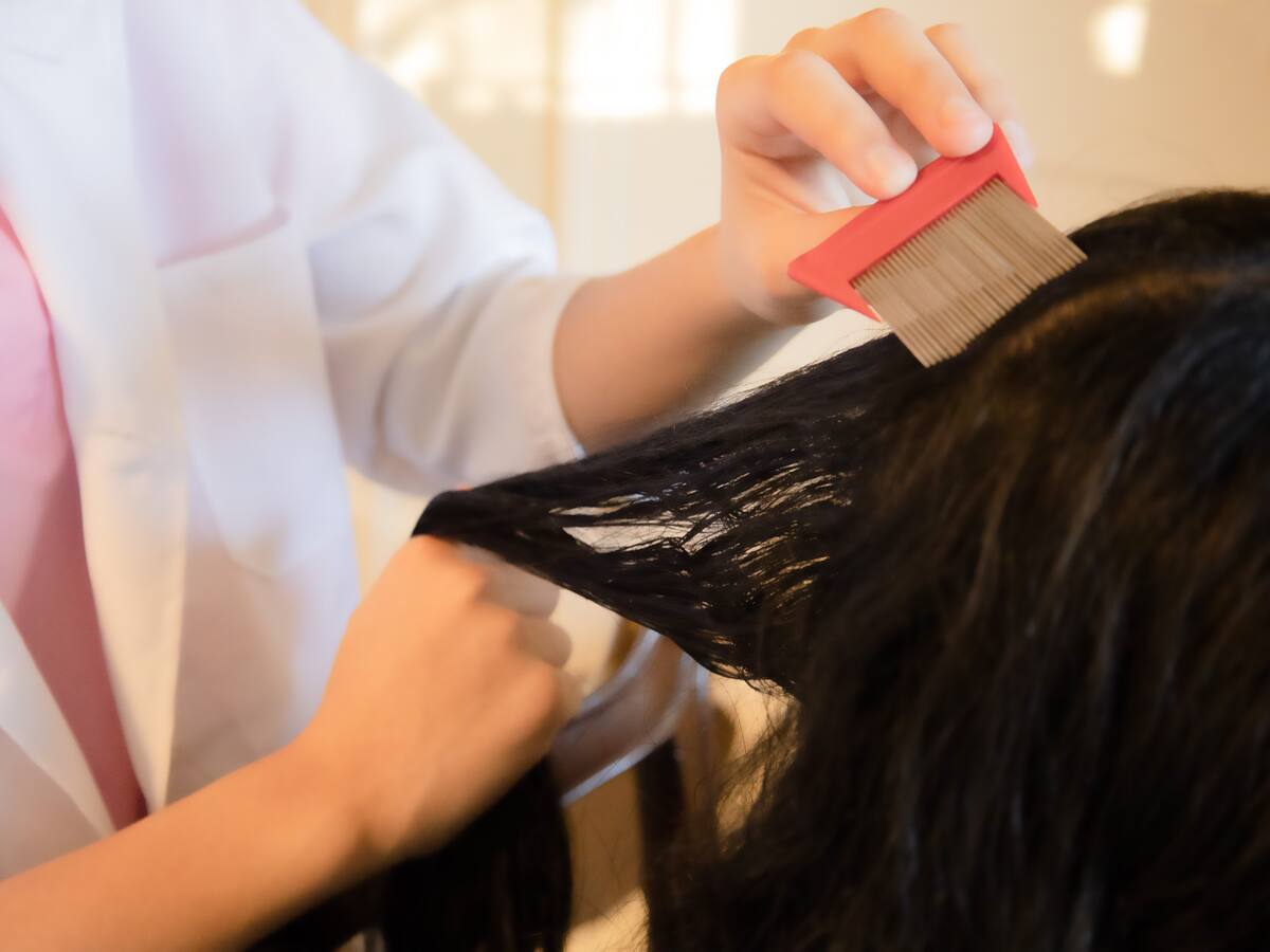 “Nunca imaginé que era tan rentable”: latina que se gana la vida quitando piojos a familias ricas en Nueva York