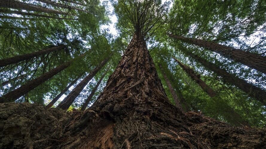 Imagen de referencia. Foto: Getty Images