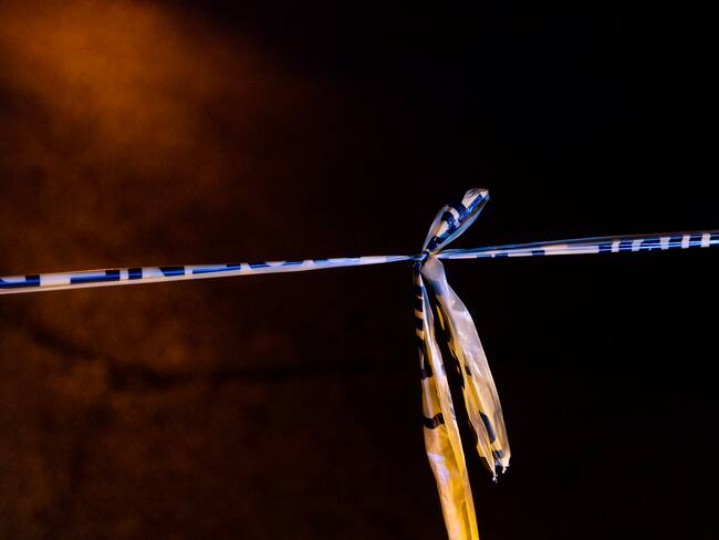 Imagen de referencia.