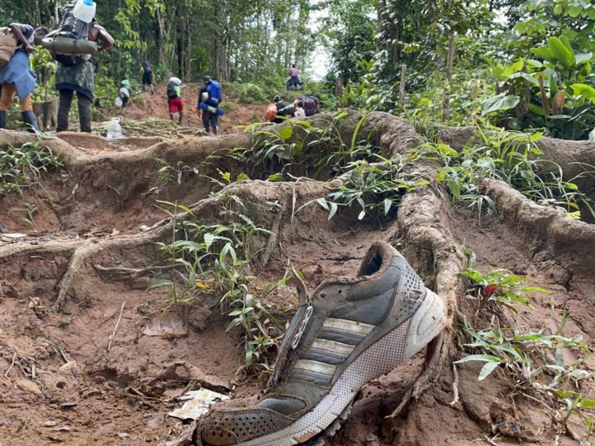 Más de 244.000 migrantes han cruzado el Darién durante 2024, un 31 % menos que en 2023