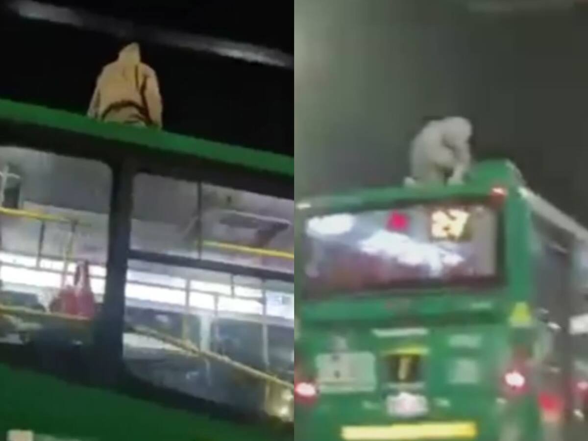 Hombre se subió al techo de un alimentador en movimiento, ¿qué dice TransMilenio?