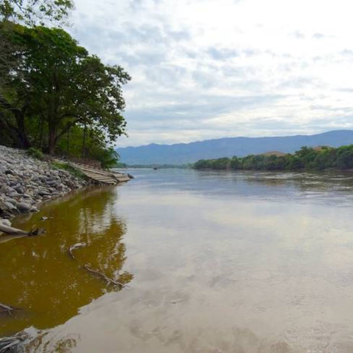 ¿Qué pasará con la APP del río Magdalena tras la caída de la licitación?
