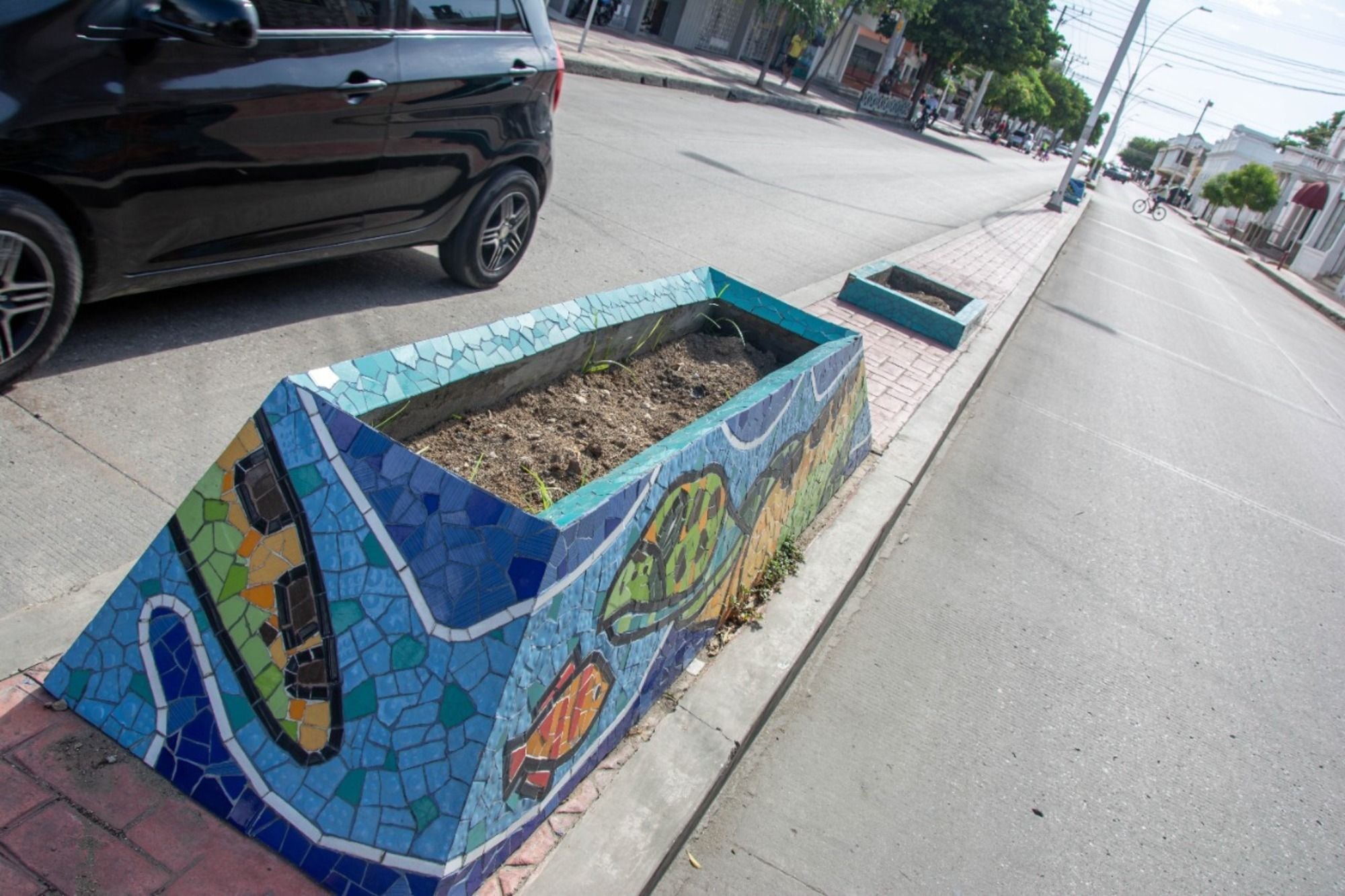 Robo de plantas/ DADSA 