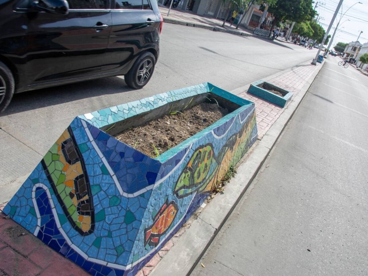 Hurto de plantas ornamentales en algunas avenidas de Santa Marta