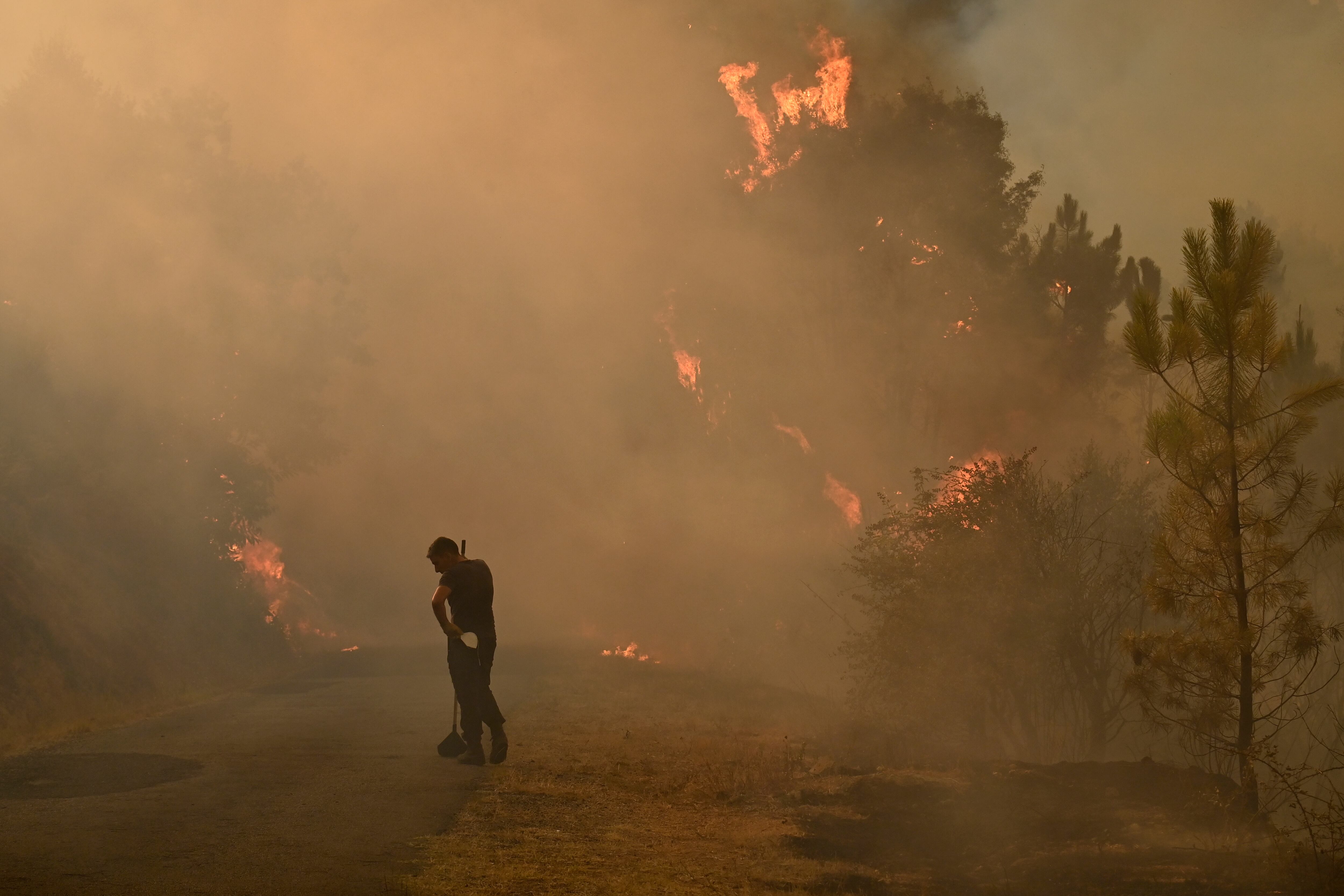 Los incendios forestales continúan en España y se reportan tres muertos y miles de evacuados. (Photo by MIGUEL RIOPA / AFP)