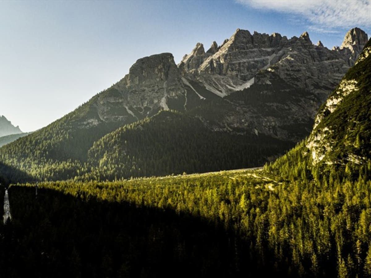 Ninguna de las metas de biodiversidad planteadas en 2010 se cumplió: ONU