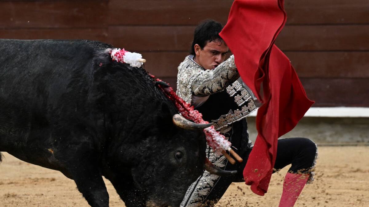 Hay que seguir, el entrenamiento no puede fallar nunca: torero Juan de Castilla tras fuerte cornada